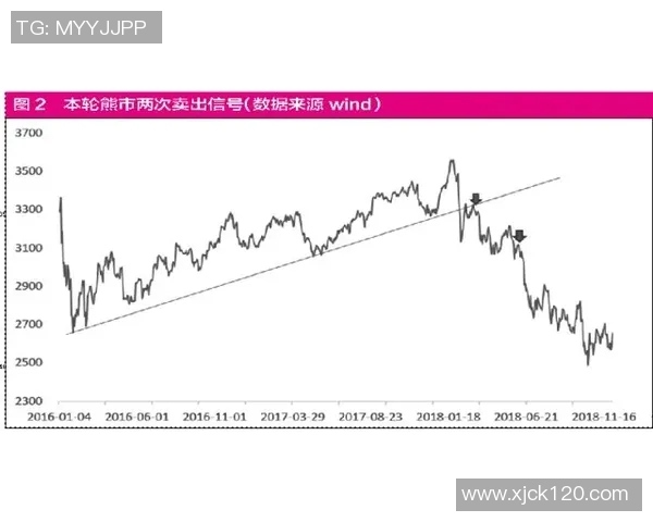 沙特与埃及对决分析澳盘走势及投注策略探讨